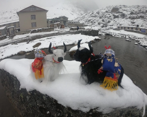 Some Beautiful Moments During Everest Base Camp Trek