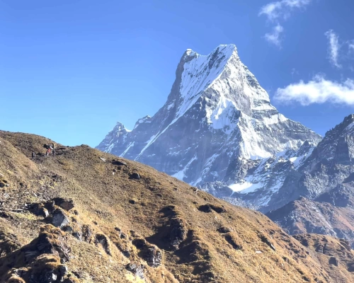 Mardi Himal Yoga Trek